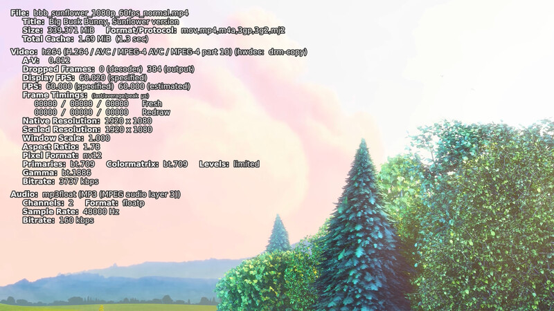 h264.jpg